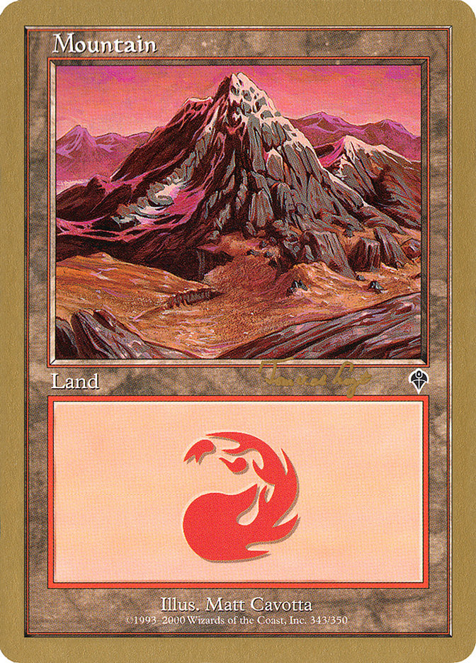 Mountain (tvdl343) (Tom van de Logt) [World Championship Decks 2001] | Nerdhalla Games