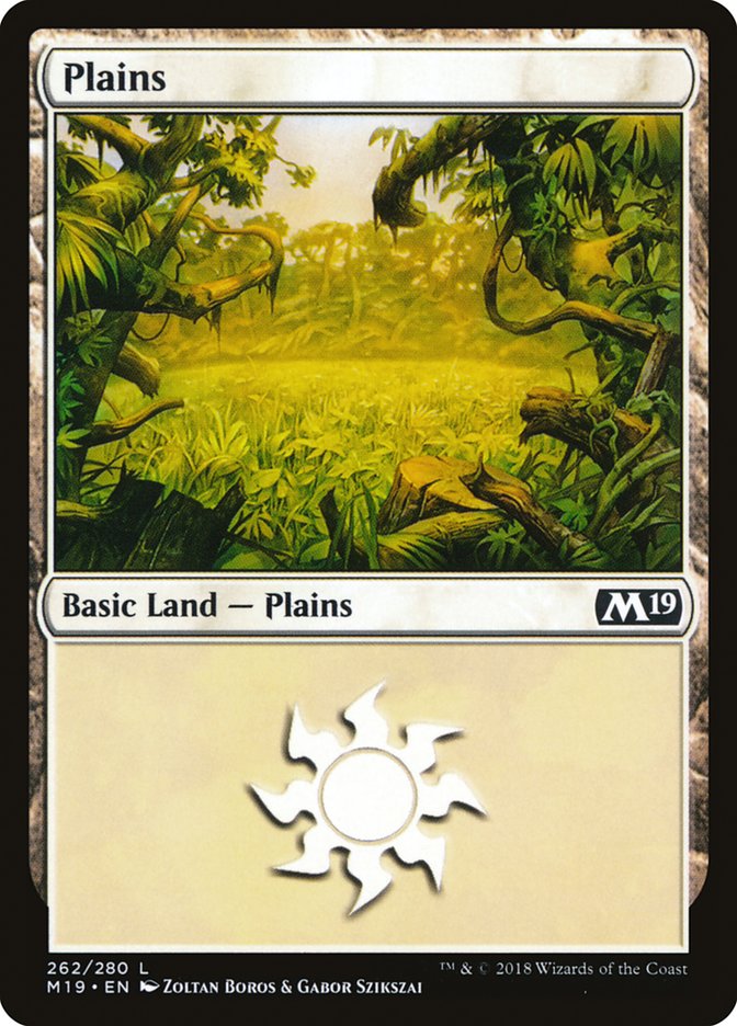 Plains (262) [Core Set 2019] | Nerdhalla Games