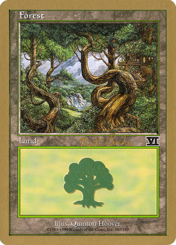 Forest (ml347b) (Matt Linde) [World Championship Decks 1999] | Nerdhalla Games