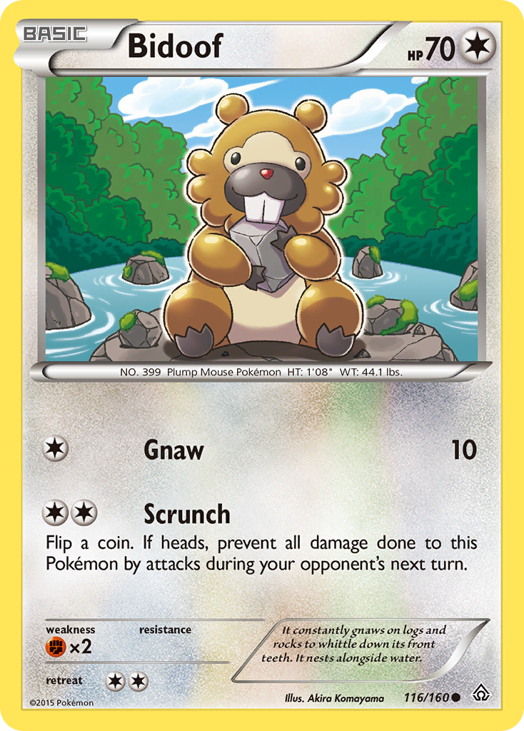 Bidoof (116/160) [XY: Primal Clash] | Nerdhalla Games