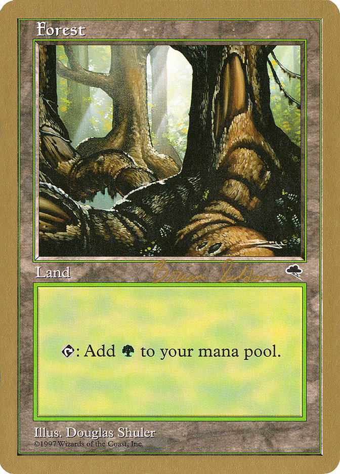 Forest (bs348) (Brian Selden) [World Championship Decks 1998] | Nerdhalla Games